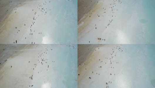 中国，青海盐湖无人机视角高清在线视频素材下载