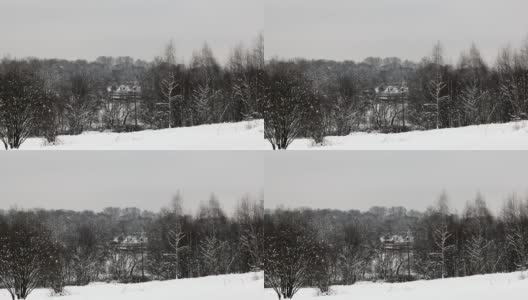 冬天的城市公园。地上有雪堆，树上有雪冠。雪从树上飘落下来。高清在线视频素材下载