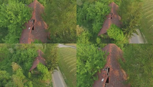 空中楼阁:树林里的破旧农舍高清在线视频素材下载