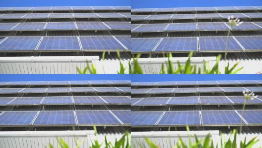 淘金:绿色太阳能电池高清在线视频素材下载