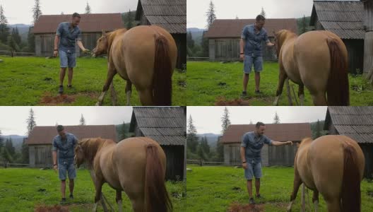一个男人在村里抚摸着一匹马高清在线视频素材下载