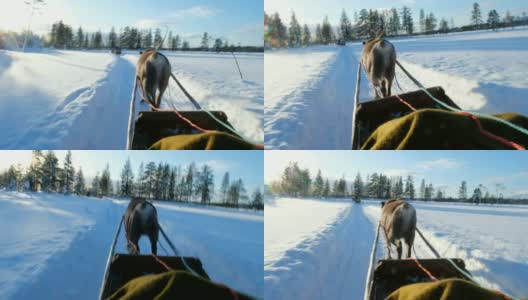 驯鹿雪橇之旅高清在线视频素材下载