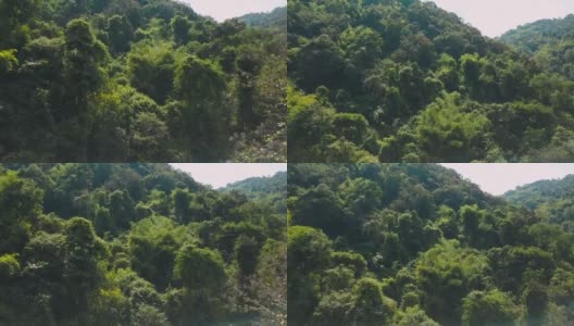 热带雨林鸟瞰图高清在线视频素材下载