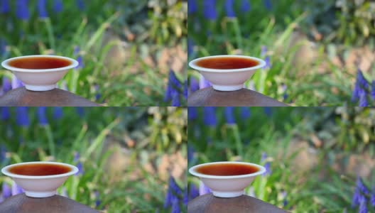 中国红茶茶园高清在线视频素材下载