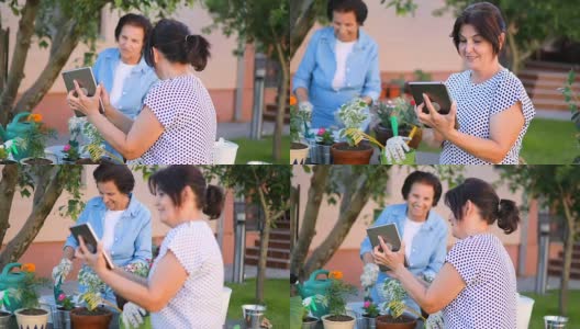 一位中老年妇女在院子里种花高清在线视频素材下载