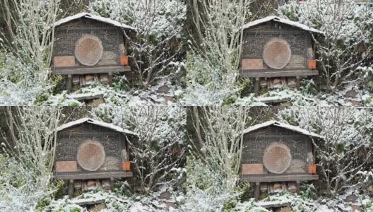 冬天的野生蜂虫旅馆。下雪在花园。高清在线视频素材下载