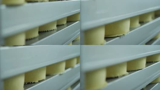 工厂仓库货架上的奶酪轮子。粮食生产高清在线视频素材下载