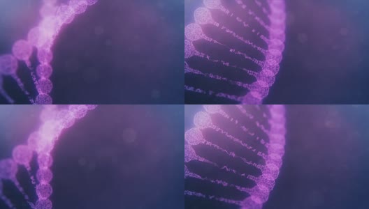 旋转丛DNA链-紫色版本高清在线视频素材下载