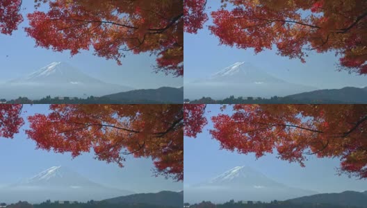 日本山梨县川口湖上秋日的富士山高清在线视频素材下载