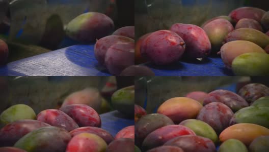 热带水果生产线上的芒果高清在线视频素材下载
