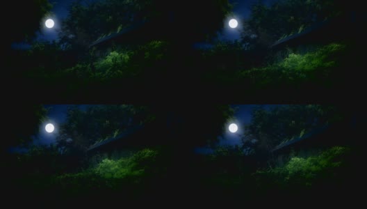 在夜晚的月光下，在夏天的林中空地上，废弃的仙女小屋高清在线视频素材下载
