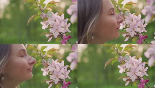 细部和近距离观看树枝和花朵在春天的时间高清在线视频素材下载