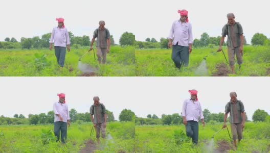 年轻的印度农民在田间喷洒高清在线视频素材下载