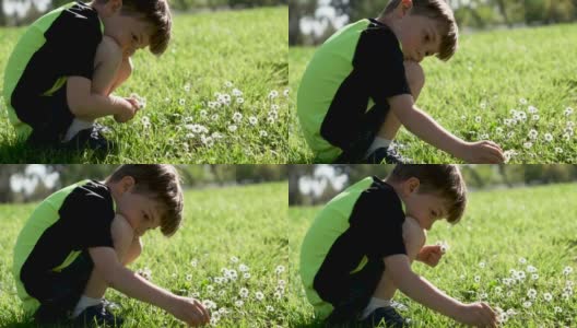 小男孩摘花，闻花高清在线视频素材下载