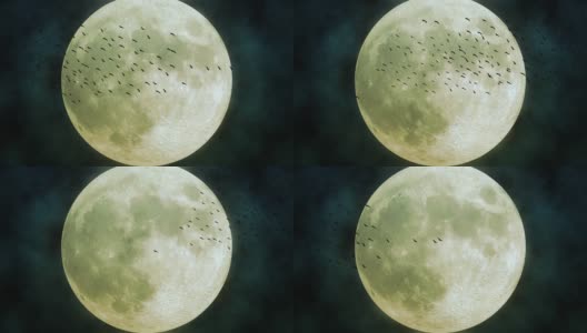 一群鸟儿在巨大的月亮前飞翔，背景是闪烁的星星高清在线视频素材下载