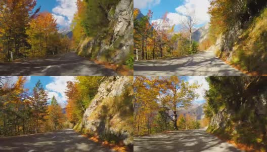 行驶在风景优美的道路上，穿过秋天的森林，阳光照耀着五颜六色的树叶高清在线视频素材下载