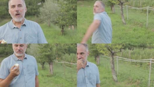 快乐成熟的男人在草地上散步，吃着自家种植的有机苹果高清在线视频素材下载