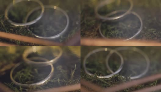 结婚戒指位于美丽的玻璃蝴蝶结与绿色的草高清在线视频素材下载