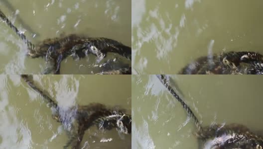漂浮在水上的废弃旧绳子高清在线视频素材下载