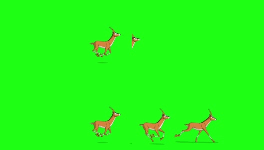 一群羚羊或瞪羚在奔跑高清在线视频素材下载