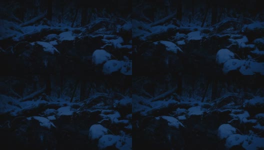 雪夜穿越森林河高清在线视频素材下载