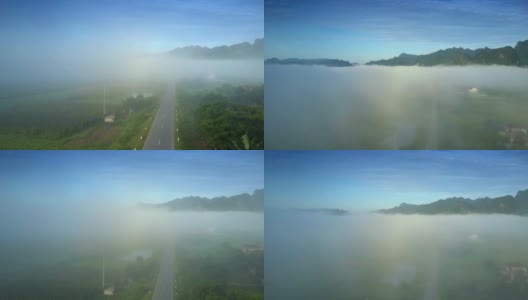 飞行摄像头从道路上方升起，消失在晨雾中高清在线视频素材下载