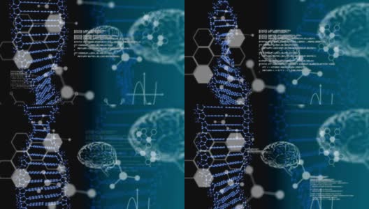 DNA，脑图，数据和分子结构在黑色背景上高清在线视频素材下载