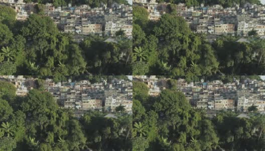 日出时，巴西里约热内卢森林上空的宽阔空中正在接近山顶贫民窟高清在线视频素材下载