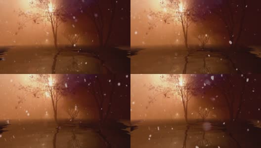 树上的雪在水中倒映高清在线视频素材下载