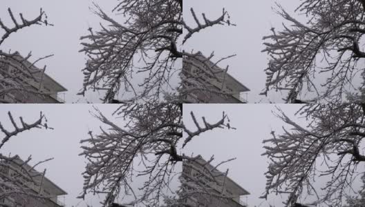 一个美丽的雪高清在线视频素材下载