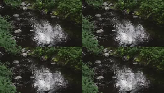 小溪里流淌着水，小溪在夏天的日子里在森林里流淌。高清在线视频素材下载