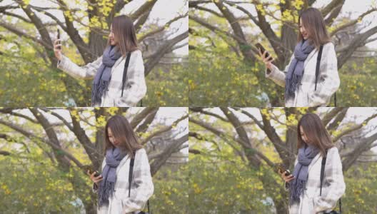 4K快乐的亚洲女性游客在日本的公园里用智能手机相机与美丽的黄色银杏叶自拍。日本旅游和季节变化的概念。高清在线视频素材下载