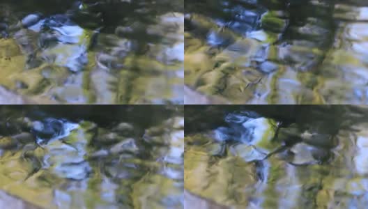 树叶在水面上的倒影高清在线视频素材下载