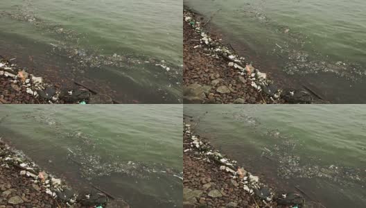 水污染，南海高清在线视频素材下载