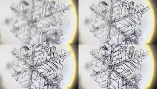 显微镜下的雪花高清在线视频素材下载