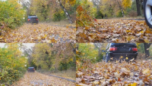 一辆大马力的汽车在阳光明媚的日子穿过小巷。五颜六色的秋叶从车轮下飞了出来。黑色SUV快速行驶在空旷的道路上，越过公园的黄叶。低角度的观点高清在线视频素材下载