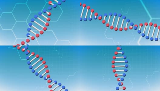 数字动画的dna结构旋转对六角形的蓝色背景高清在线视频素材下载