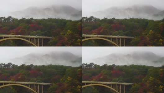 4K镜头的雨和雾在多色的秋天季节在深森林Naruko峡谷，日本，自然和旅游的概念高清在线视频素材下载