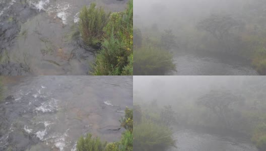 从斯里兰卡霍顿平原看河中的雾高清在线视频素材下载