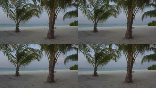 白色的沙滩上有棕榈树在海上和船上。高清在线视频素材下载