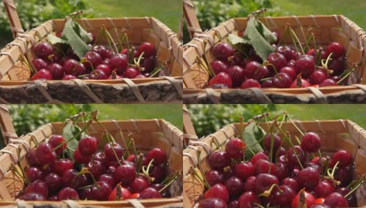 熟樱桃的浆果落在装满樱桃的篮子里高清在线视频素材下载