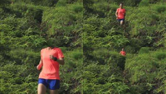 女子超级马拉松运动员在热带雨林的山坡上跑下山，慢动作高清在线视频素材下载