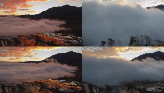令人惊异的晨雾时间的流逝，在中国鸳鸯的梯田里高清在线视频素材下载