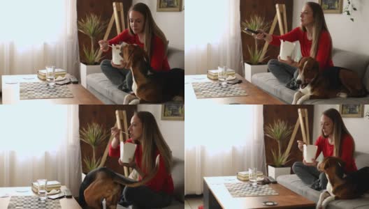 好奇的女人，一边看她最喜欢的电视节目，一边吃着意大利调味饭，而她的好奇的猎犬让她的公司高清在线视频素材下载