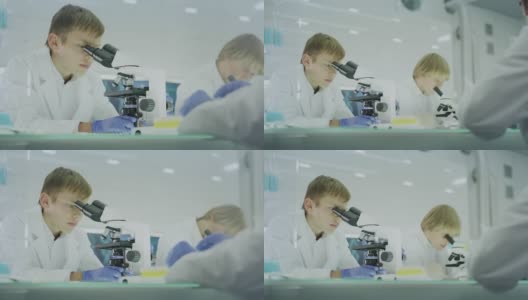 好奇的男孩在实验室工作。使用显微镜和准备实验。跟着父亲学习，校准显微镜高清在线视频素材下载