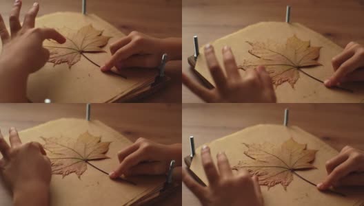 无法辨认的小女孩的双手把枯萎的秋天枫叶放在羊皮纸上，形成一个贴花坐在桌子上。高清在线视频素材下载
