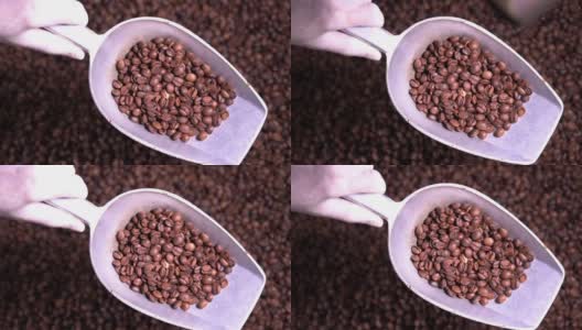 湿咖啡粉磨加工或洗涤站。农业咖啡行业的产品线概念。高清在线视频素材下载