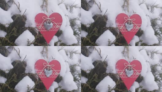 红心挂在雪白的枝头，在风中摇曳。情人节高清在线视频素材下载
