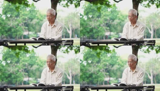 亚洲老人独自在公园看书高清在线视频素材下载