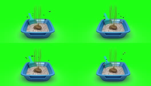 猫砂盒里的便便。3D动画。绿屏,loopable。高清在线视频素材下载